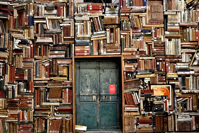 classic books: wall bookshelf