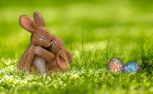 easter holidays: hugging rabbits