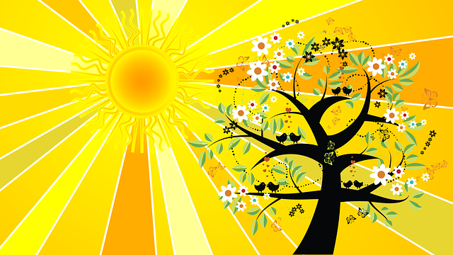 tree and sun cartoon of summer solstice