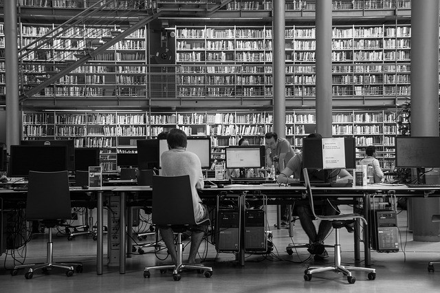 students studying in library